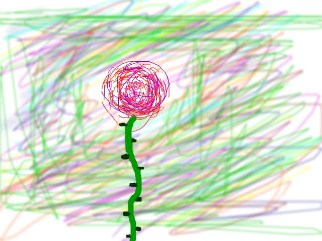 Rose