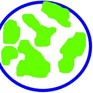 lumea