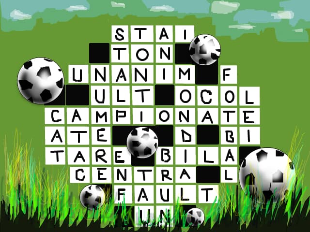 din fotbal