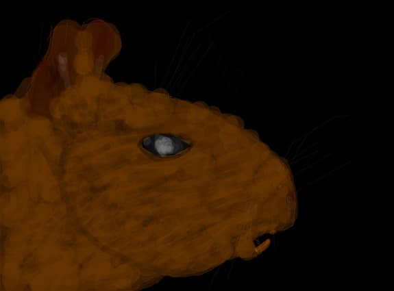 Un degu ( facut groaznic)