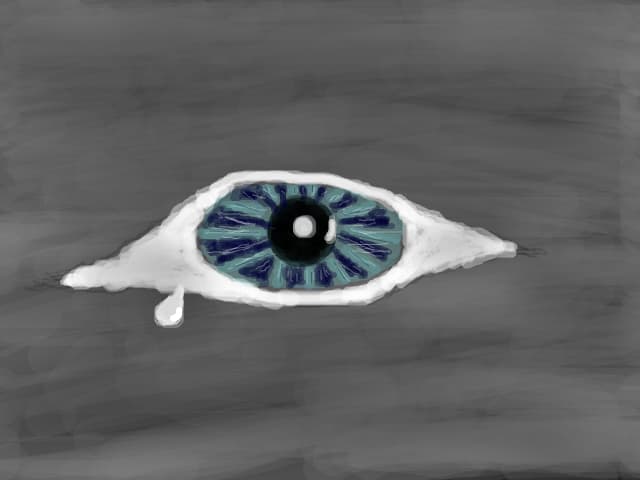 EYE