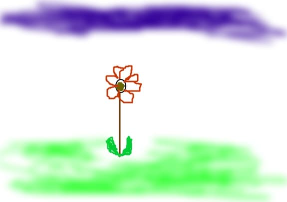 A flower