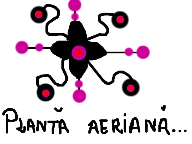 planta aeriana.:D