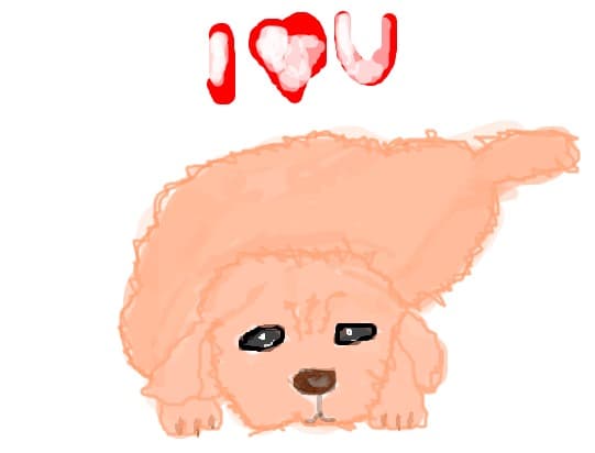 i love you