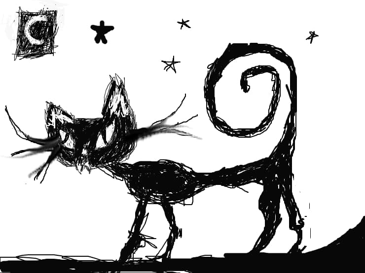 Black Cat