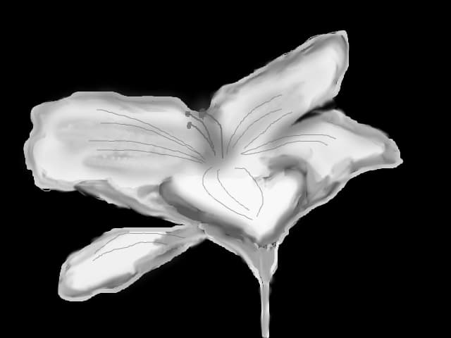 un fel de floare