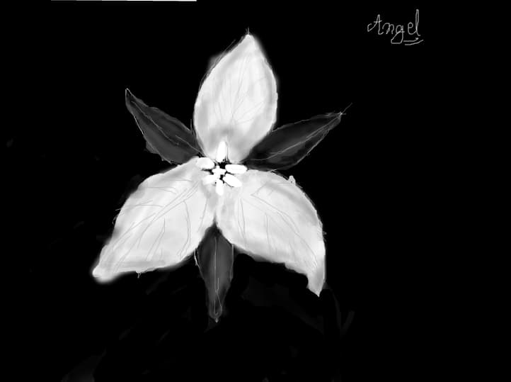 White and black