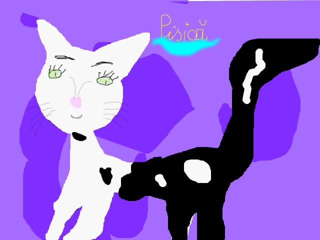 pisica