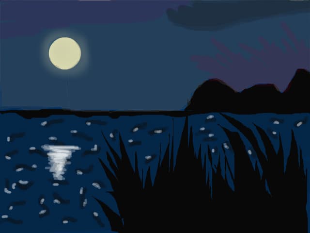 peisaj nocturn