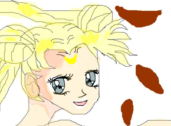 sailor  moon  cica