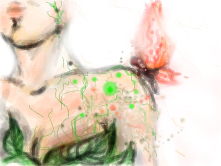 butterfly