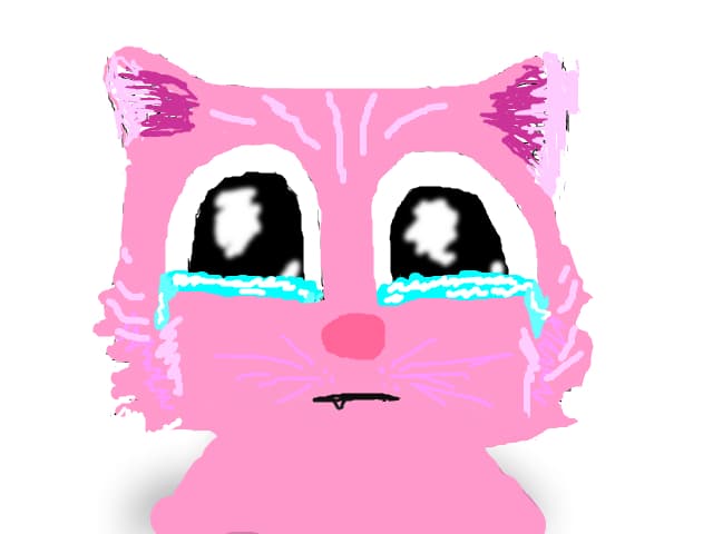 kitty