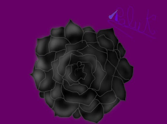 Blck RoZee