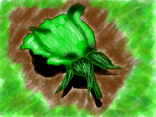 Trandafir verde