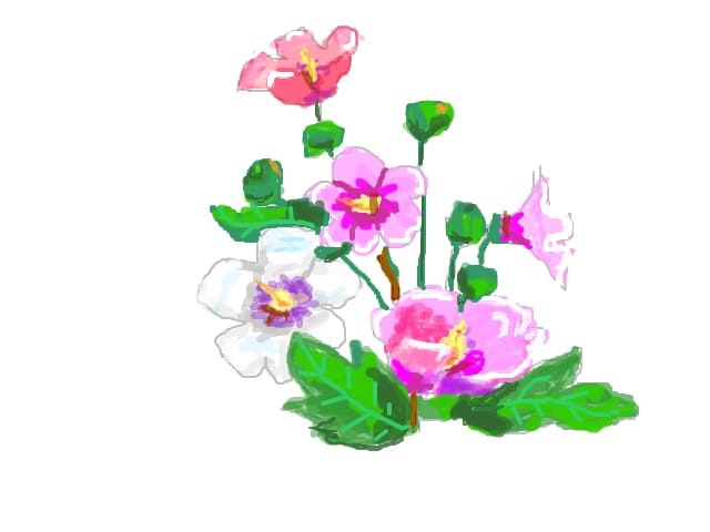 flori
