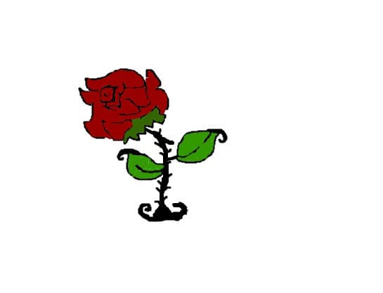 flori