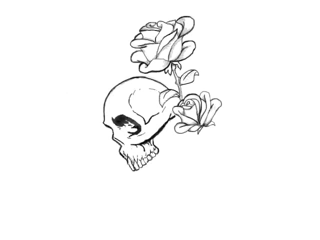 Skull &amp; Roses