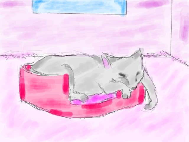 Cat....cine face colaborare cu mn?