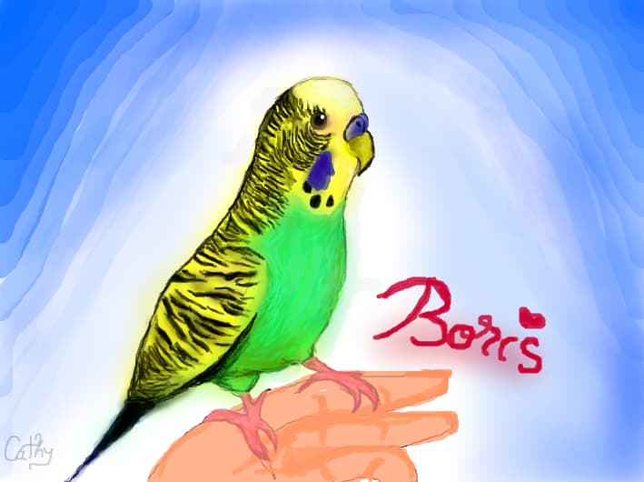 BORIS!!!