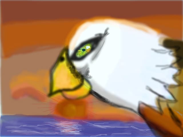 un vultur zburand in apus