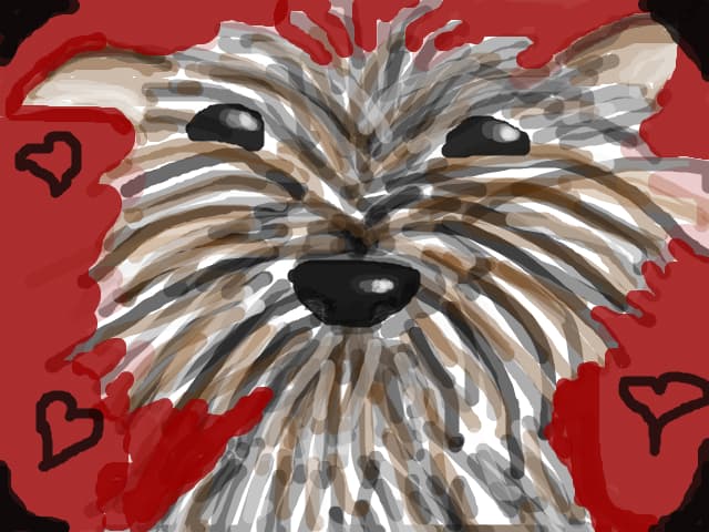 terrier alb