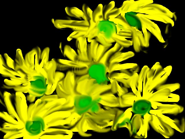 andra
