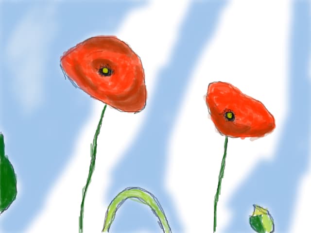 maci..