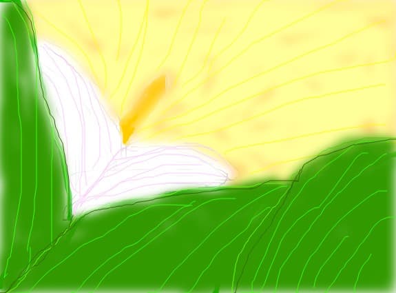 floare