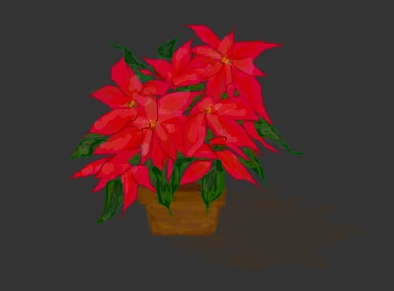 Euphorbia