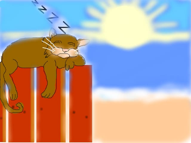 pisica