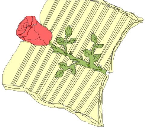 rose