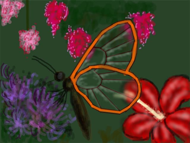 fluture