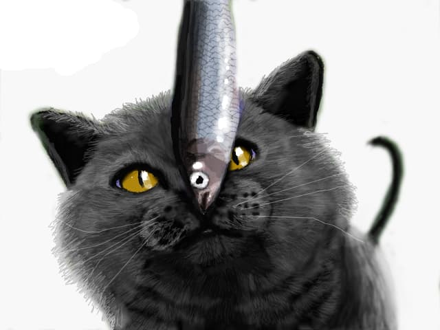ispititu` (in top desene! wow! multumesc mult!)
