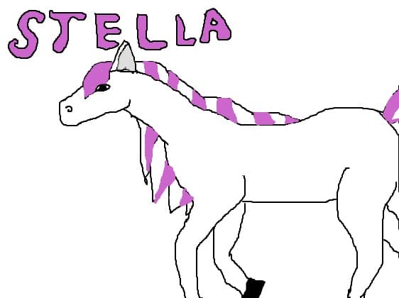 stella