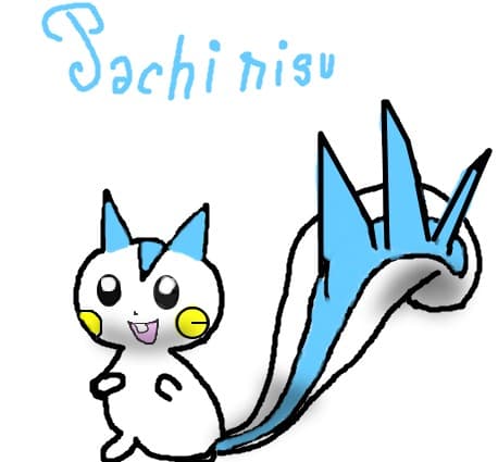 pachirisu