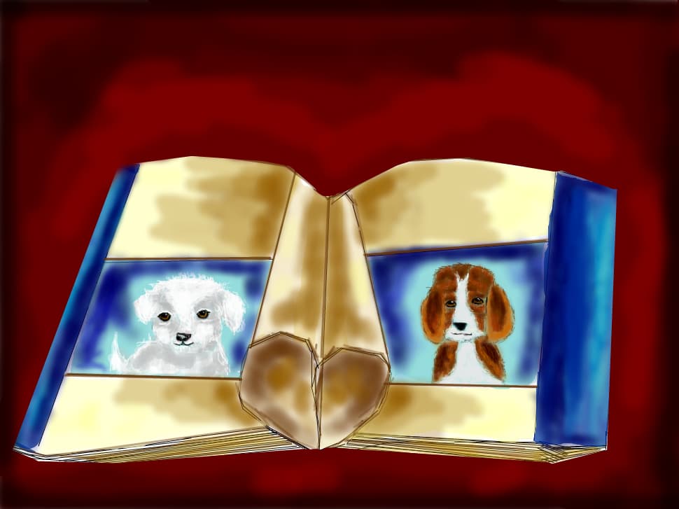 Dog\'s book