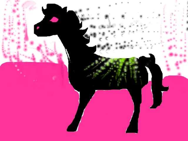 Pony