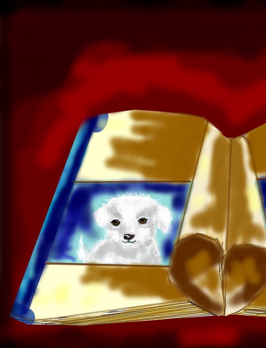 canis