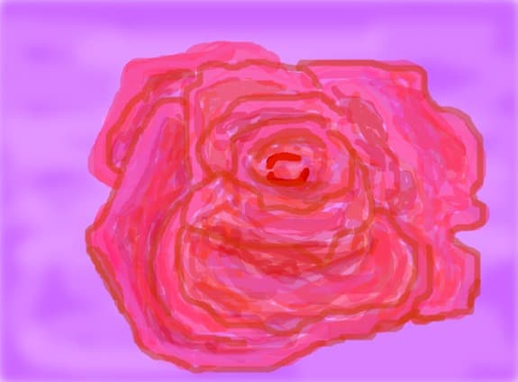 rose