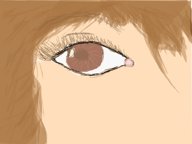 eye