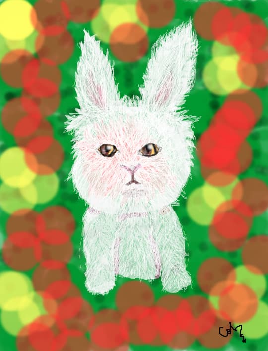 iepuras~animalul meu preferat~