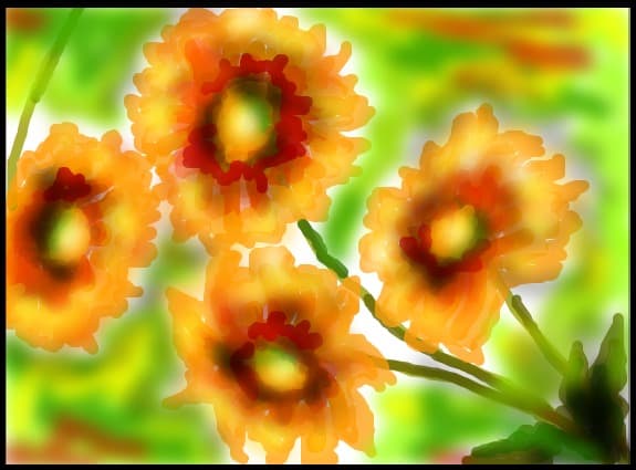 Flori in tonuri orange