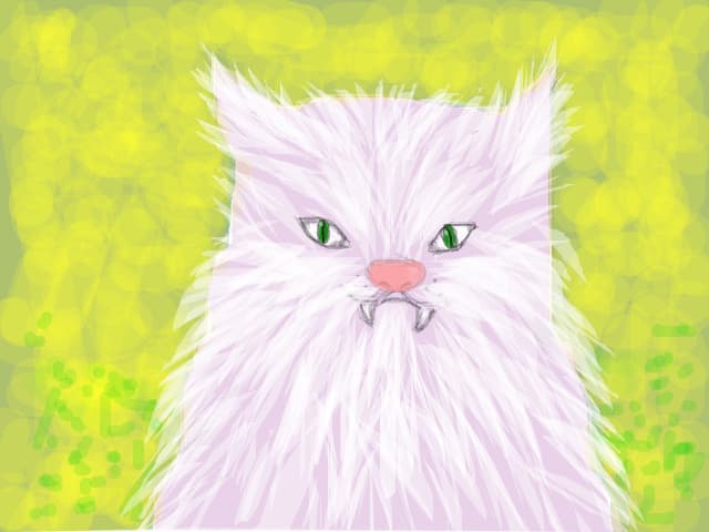 kiti