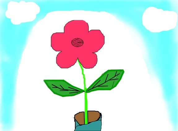 o floricica