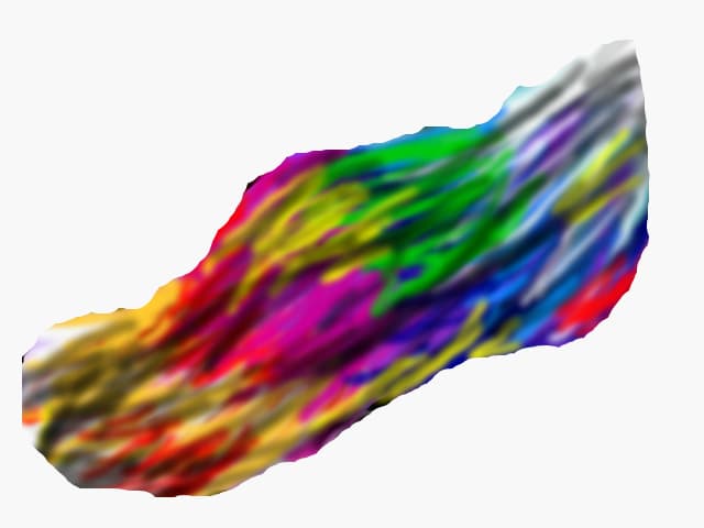 ses
