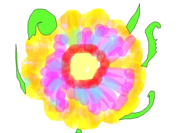 o floricica