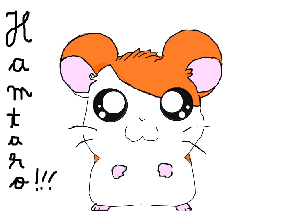hamtaro
