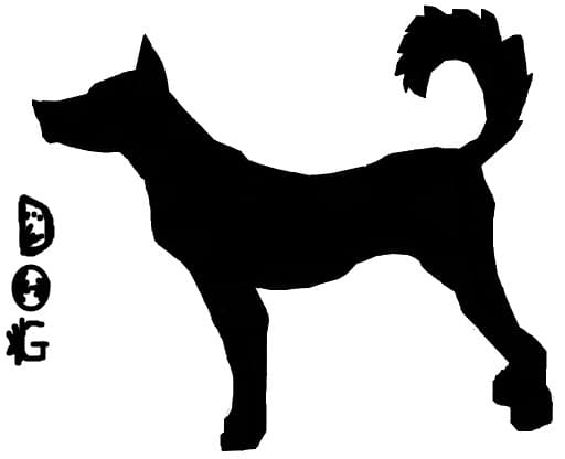 dog