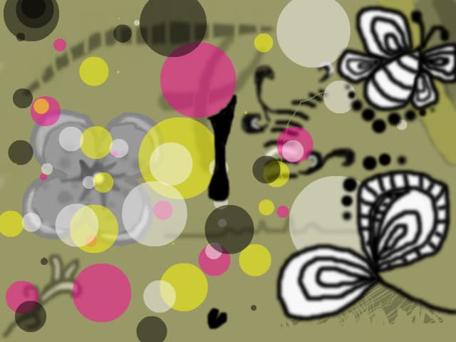 wonder land