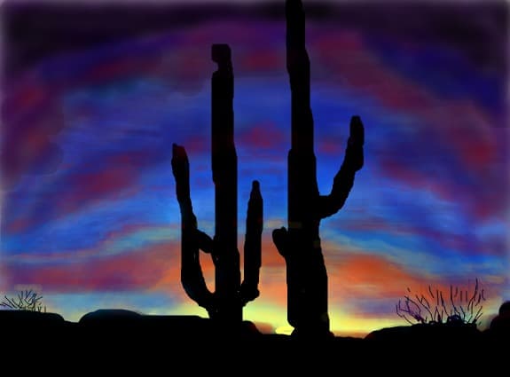 Desert,cactusi....peisaj